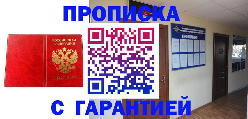 прописка для школы в Звенигово